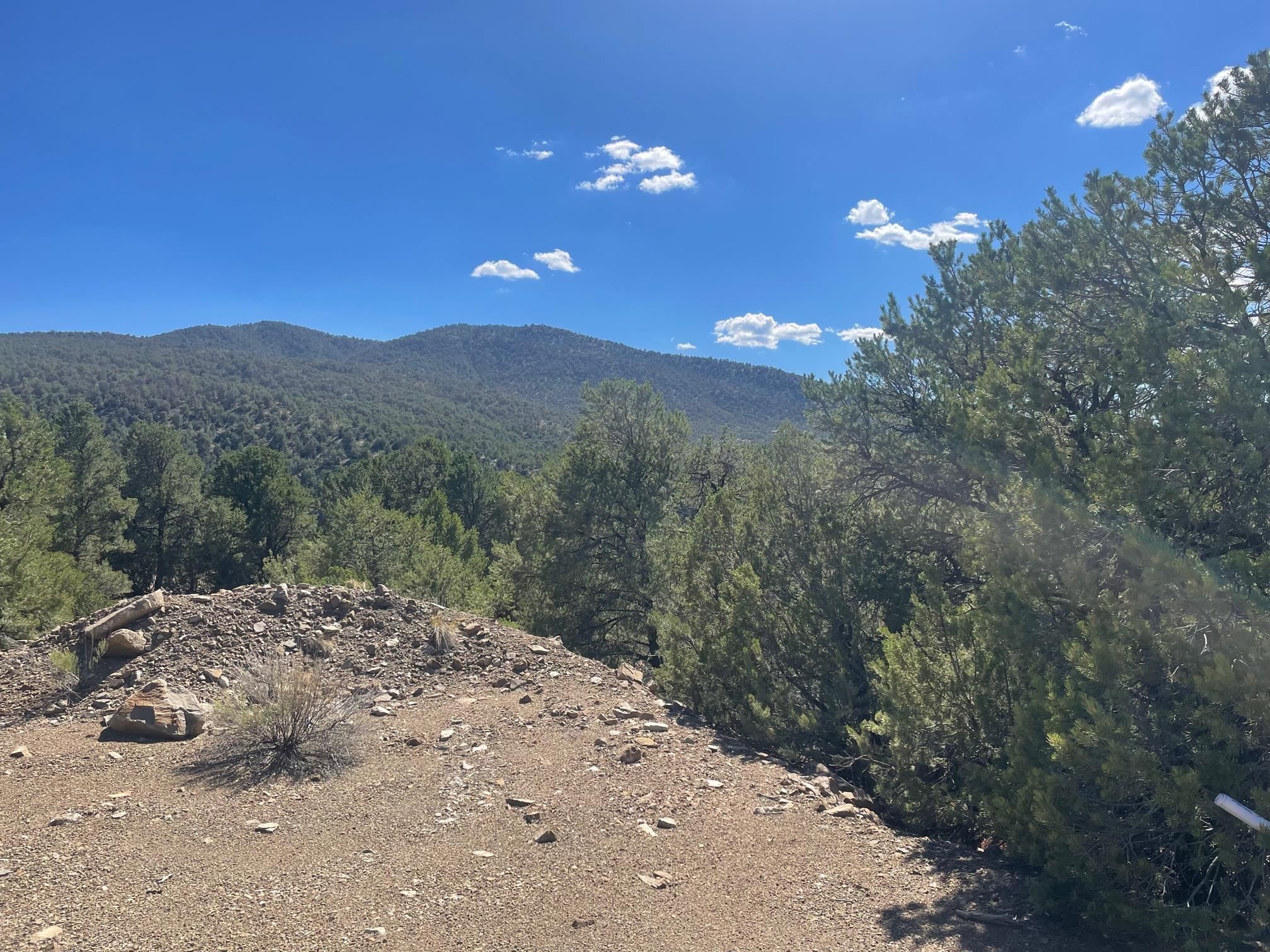 Adjacent Monte Lindo Rd, Taos, New Mexico image 5