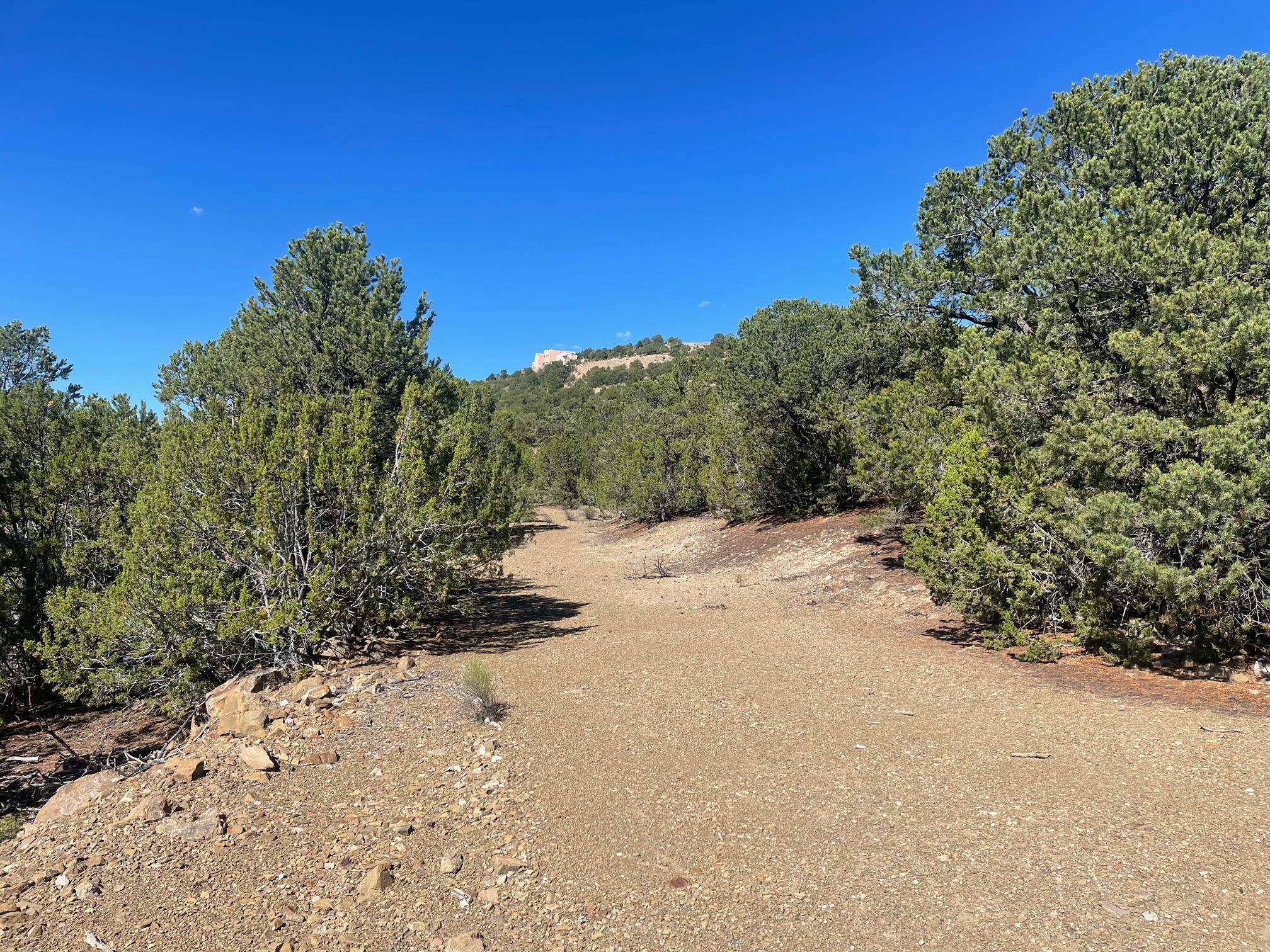 Adjacent Monte Lindo Rd, Taos, New Mexico image 2