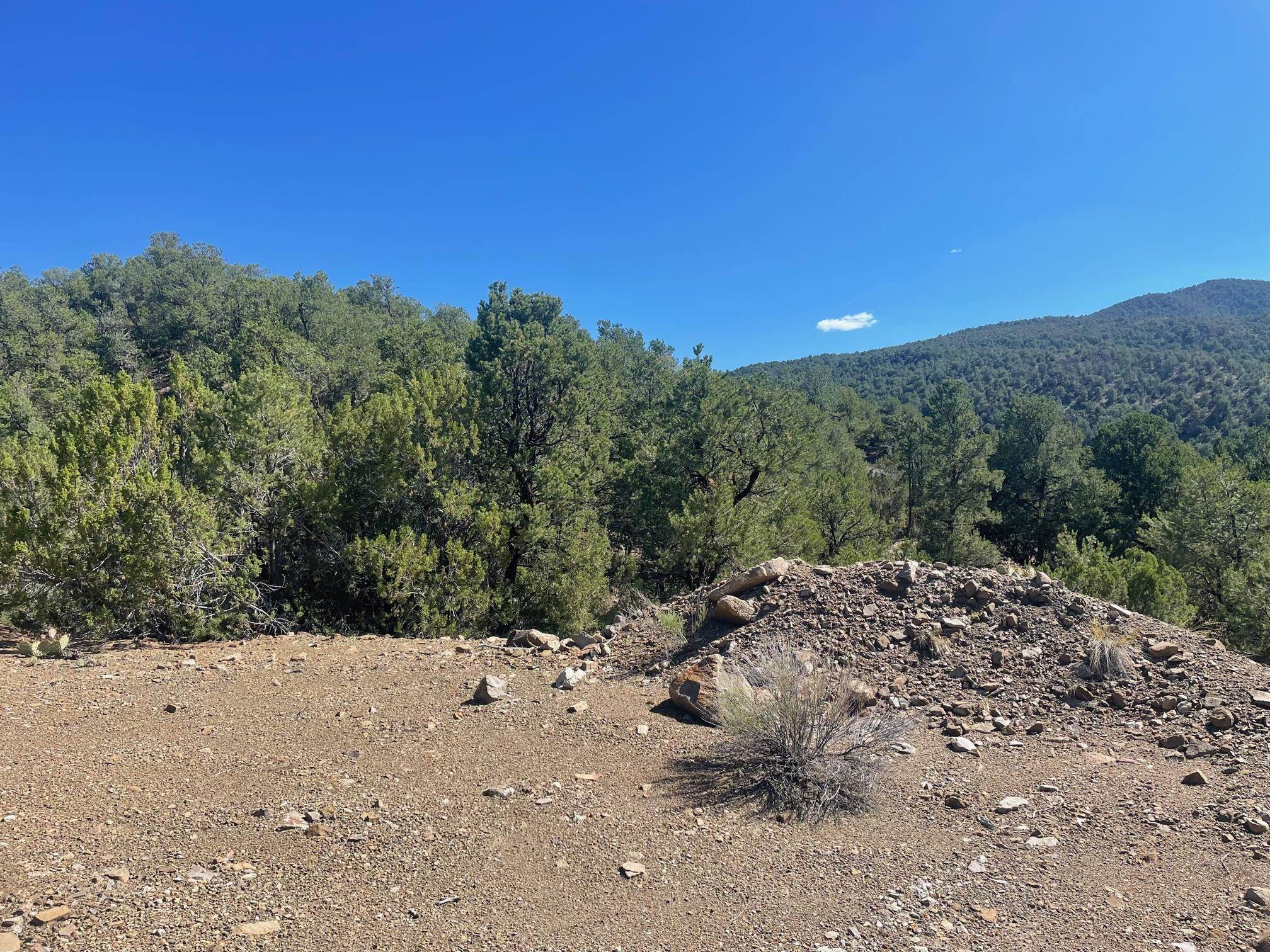 Adjacent Monte Lindo Rd, Taos, New Mexico image 3