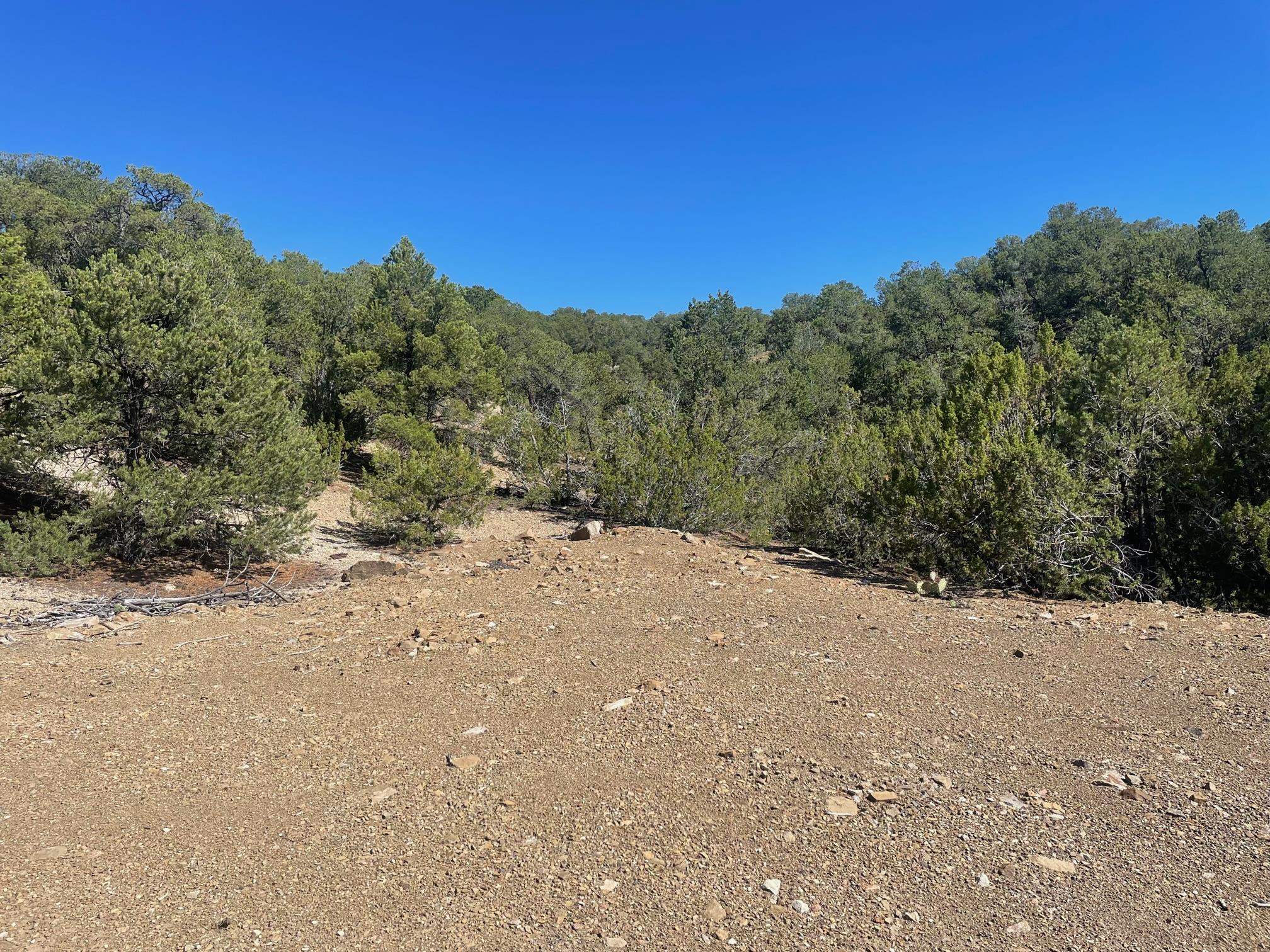 Adjacent Monte Lindo Rd, Taos, New Mexico image 1