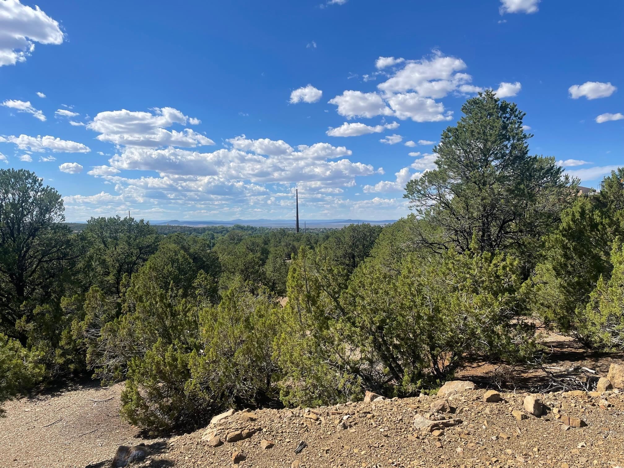 Adjacent Monte Lindo Rd, Taos, New Mexico image 4