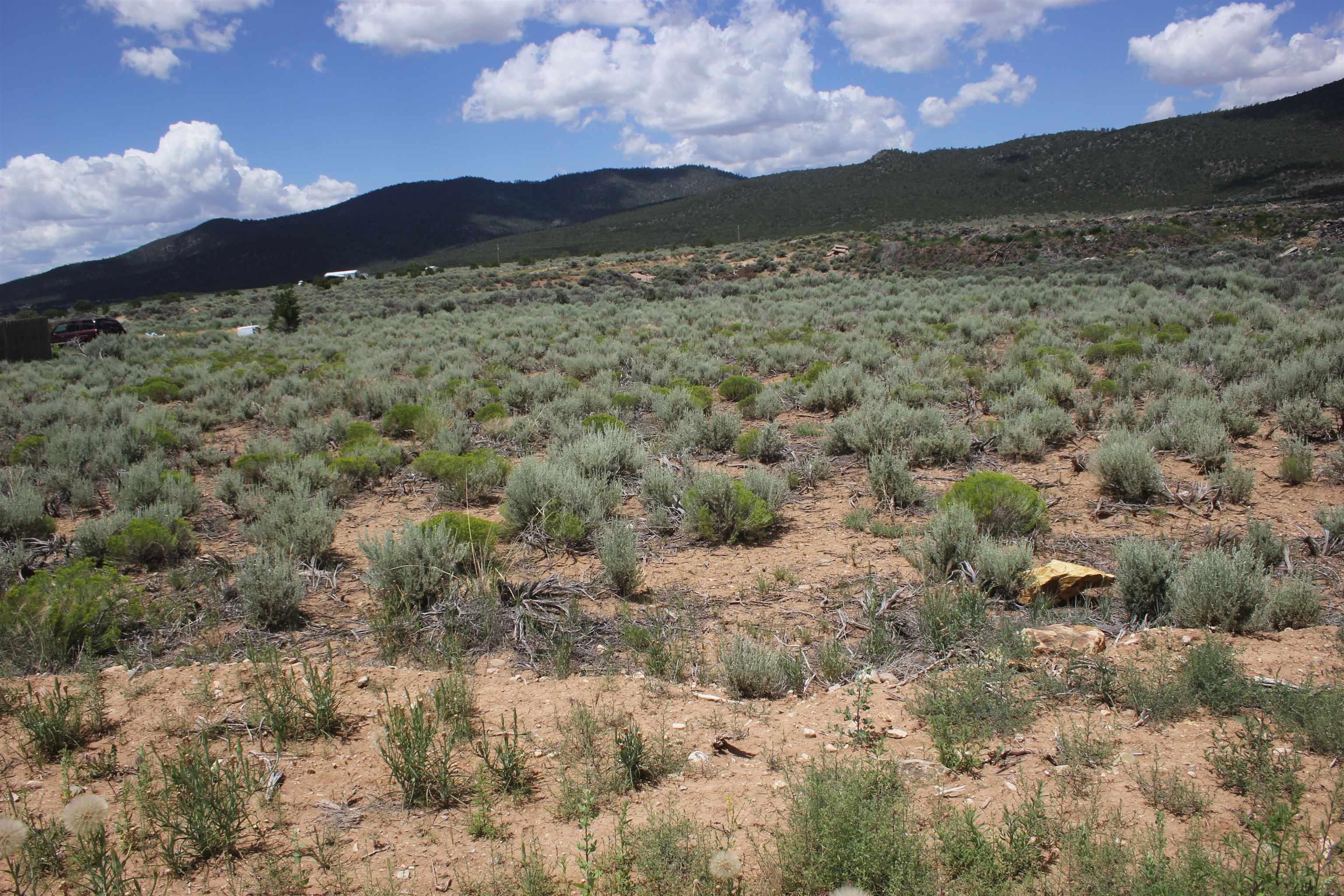 Lot 12 Shirley Drive, Questa, New Mexico image 3