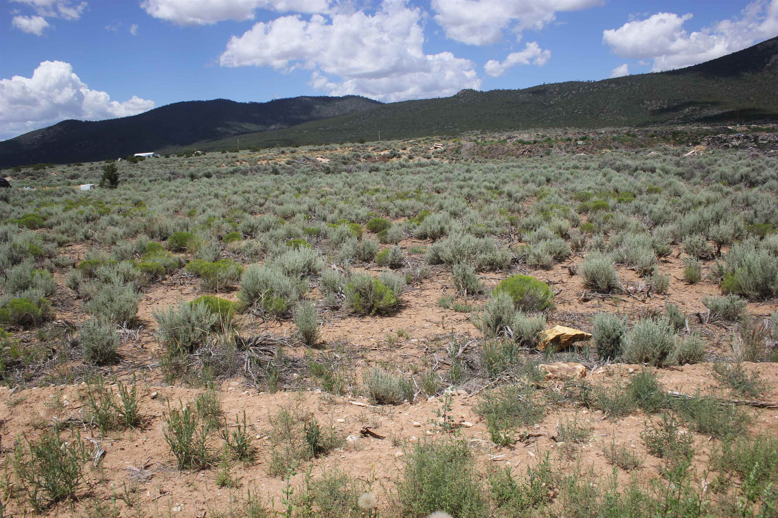 Lot 12 Shirley Drive, Questa, New Mexico image 2