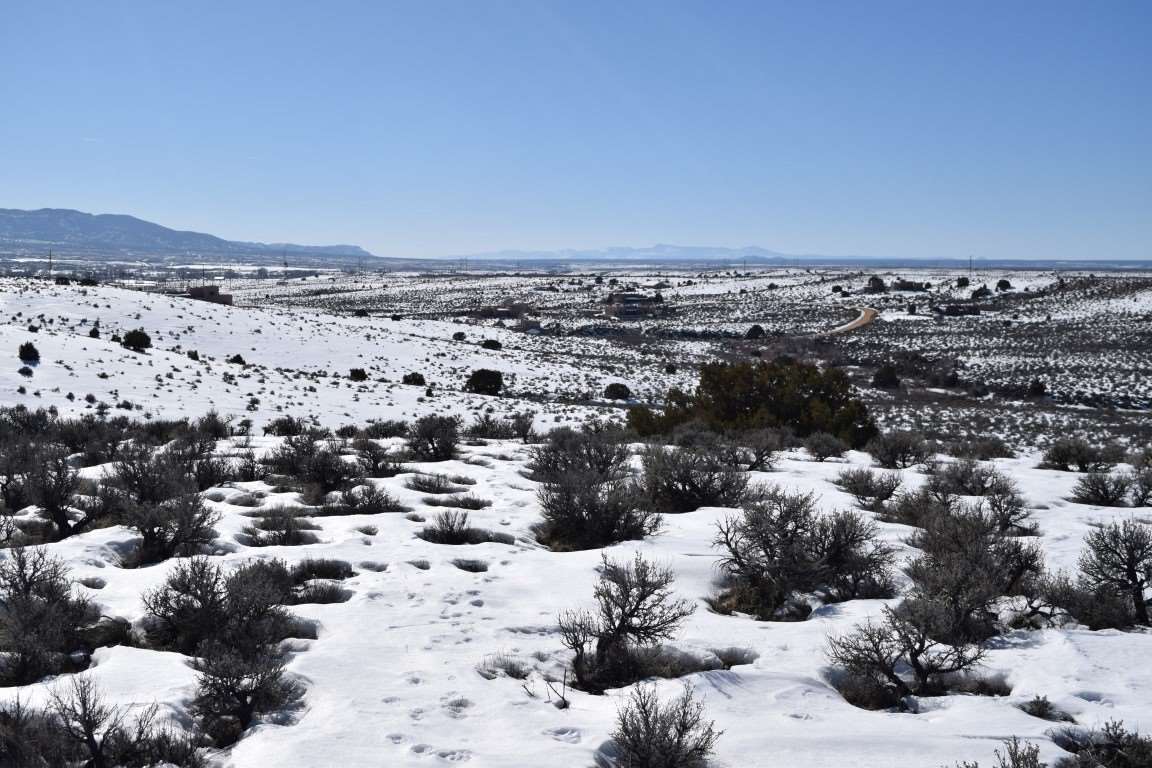 Blueberry Hill Road, El Prado, New Mexico image 5