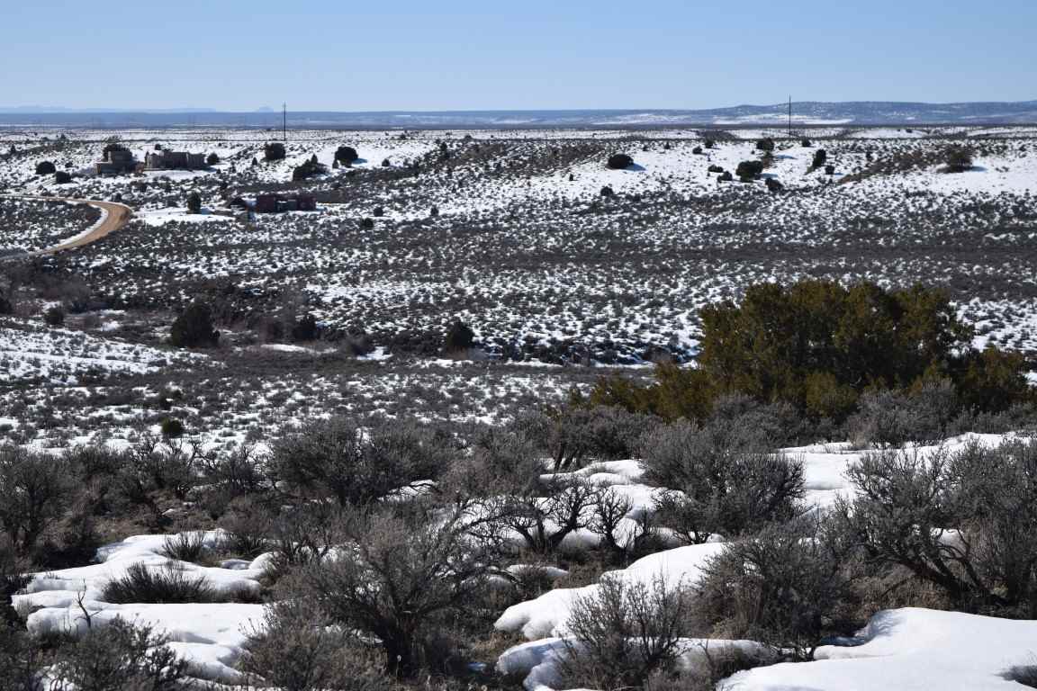 Blueberry Hill Road, El Prado, New Mexico image 9