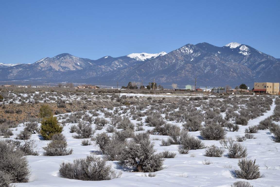 Blueberry Hill Road, El Prado, New Mexico image 2