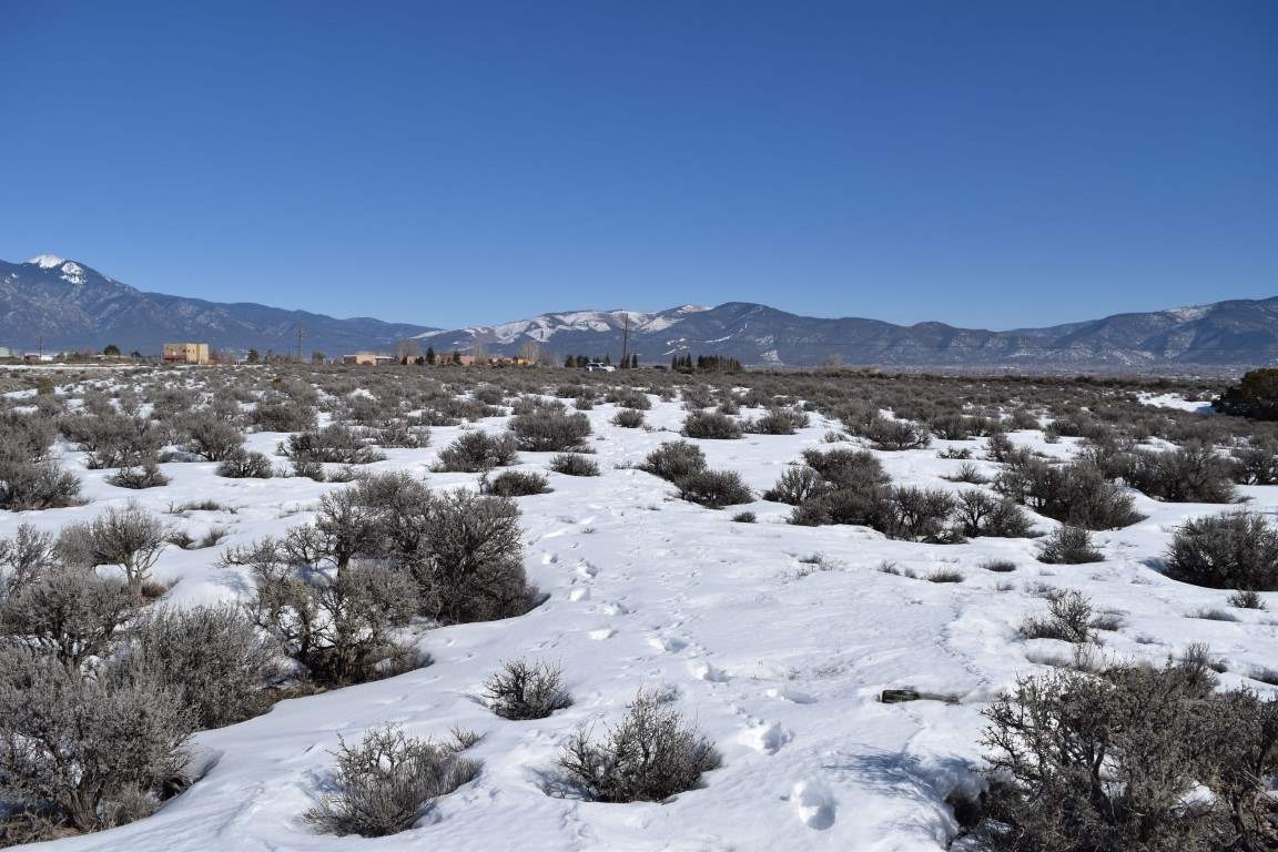 Blueberry Hill Road, El Prado, New Mexico image 13