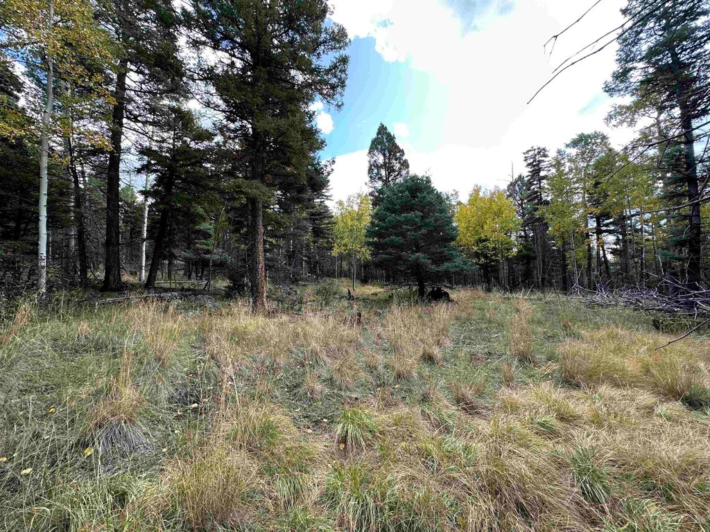 Photo of Lot 1174 Cheerful Way, Angel Fire, NM 87710 (MLS # 110936)