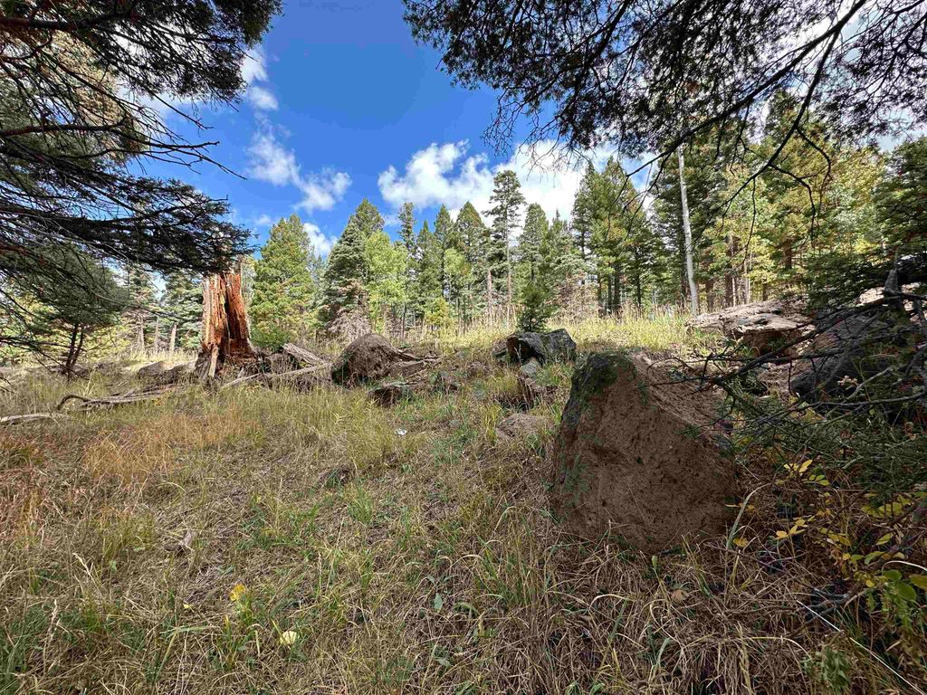 Photo of Lot 1174 Cheerful Way, Angel Fire, NM 87710 (MLS # 110936)