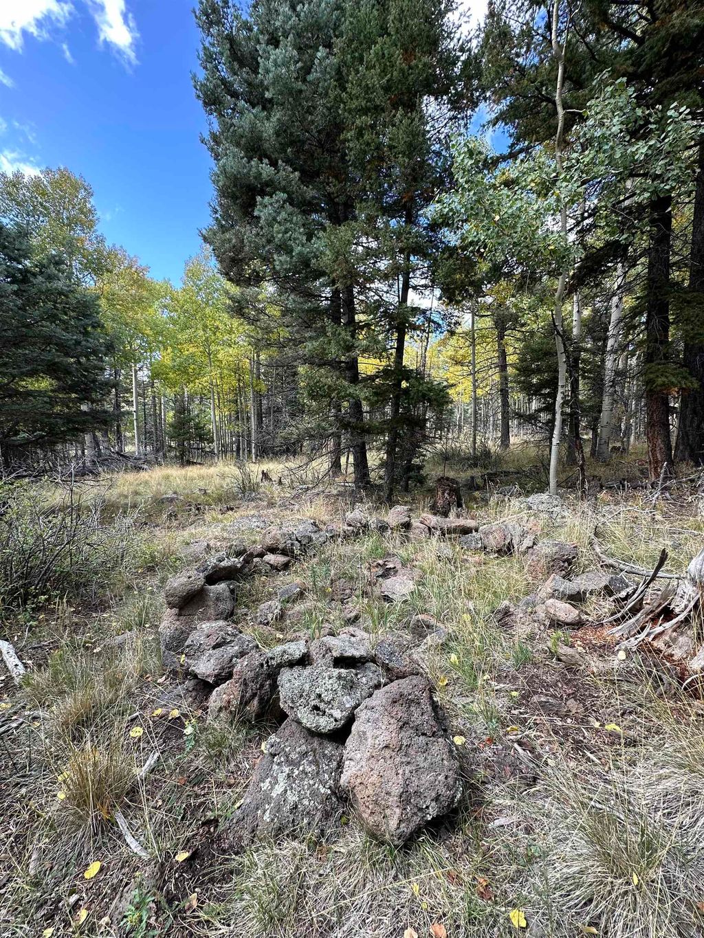 Photo of Lot 1174 Cheerful Way, Angel Fire, NM 87710 (MLS # 110936)