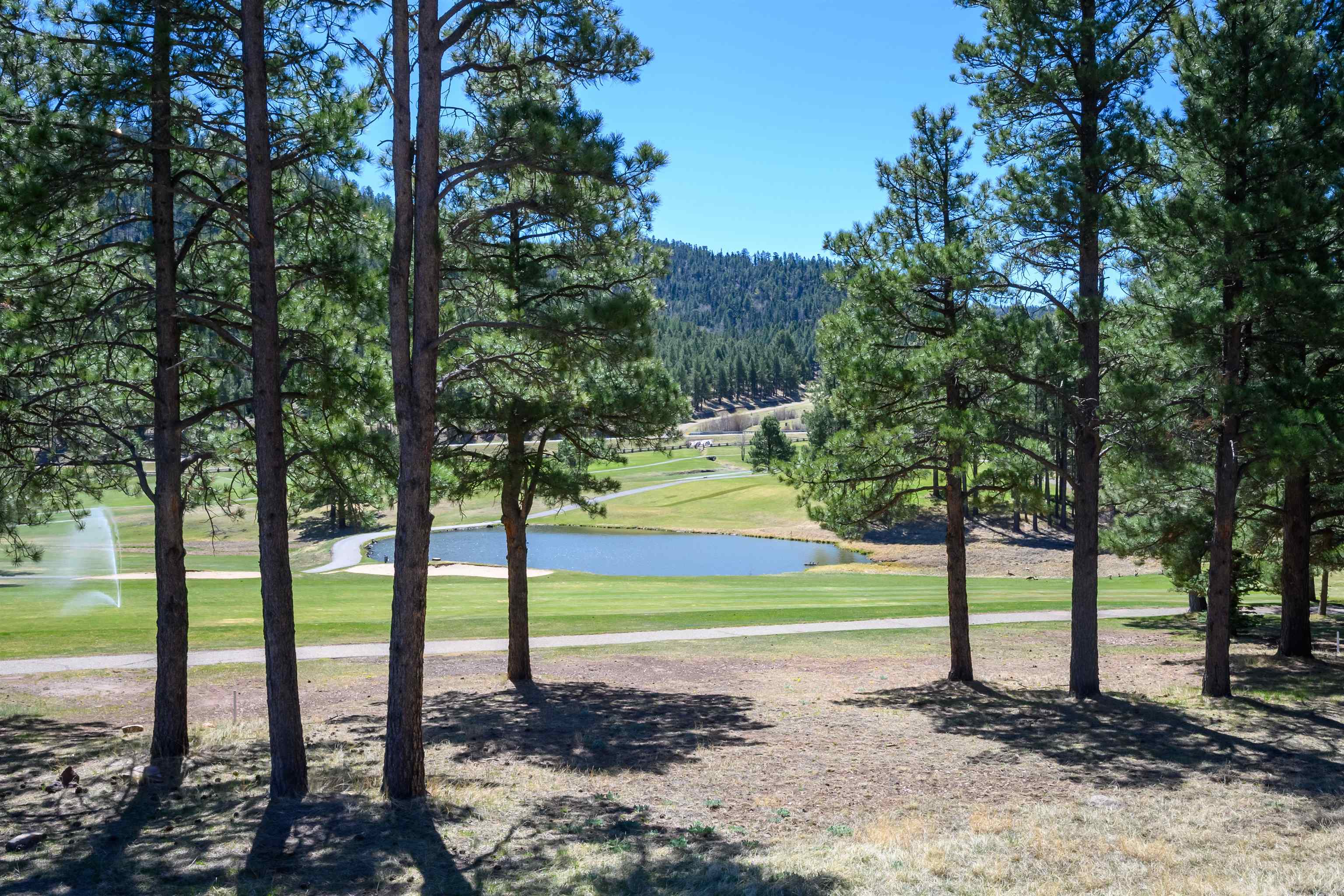 65 Saint Andrews Way, Angel Fire, New Mexico image 5