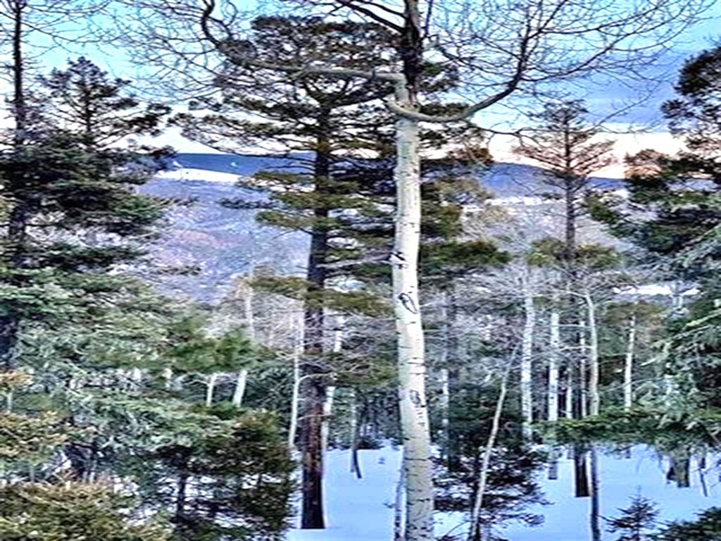 Photo of Lot 75 Via de Maria, Angel Fire, NM 87710 (MLS # 114328)