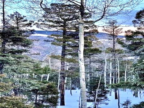 Photo of Lot 75 Via de Maria, Angel Fire, NM 87710 (MLS # 114328)