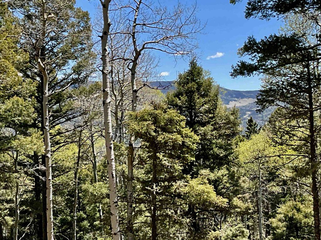 Photo of Lot 75 Via de Maria, Angel Fire, NM 87710 (MLS # 114328)