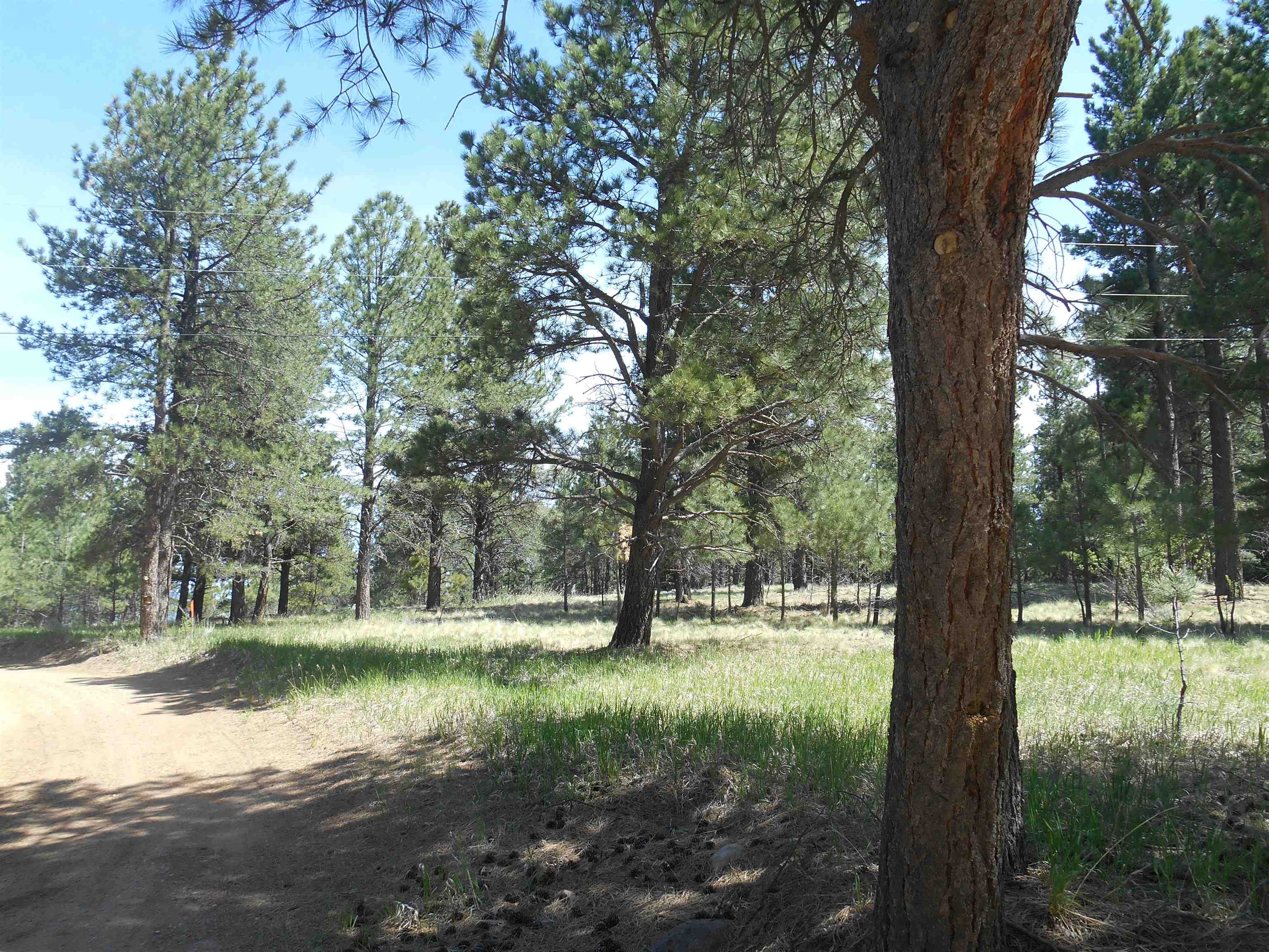 Lot 7, Angel Fire, New Mexico image 6