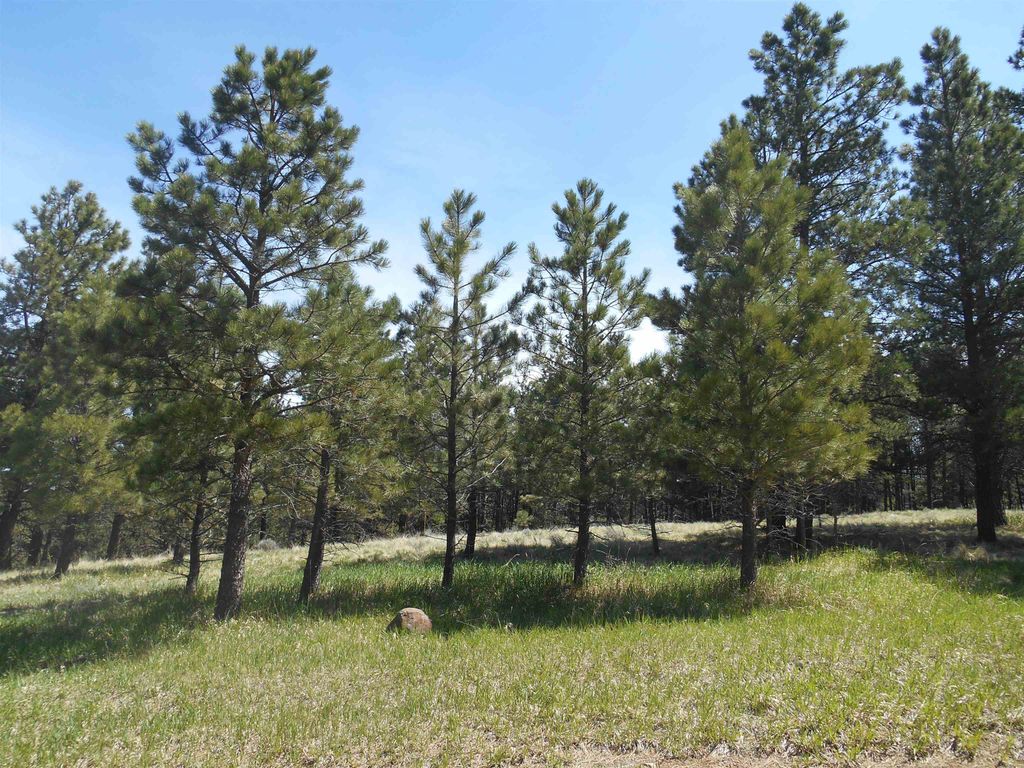 Photo of Lot 7 Horseshoe Bend, Angel Fire, NM 87710 (MLS # 113410)