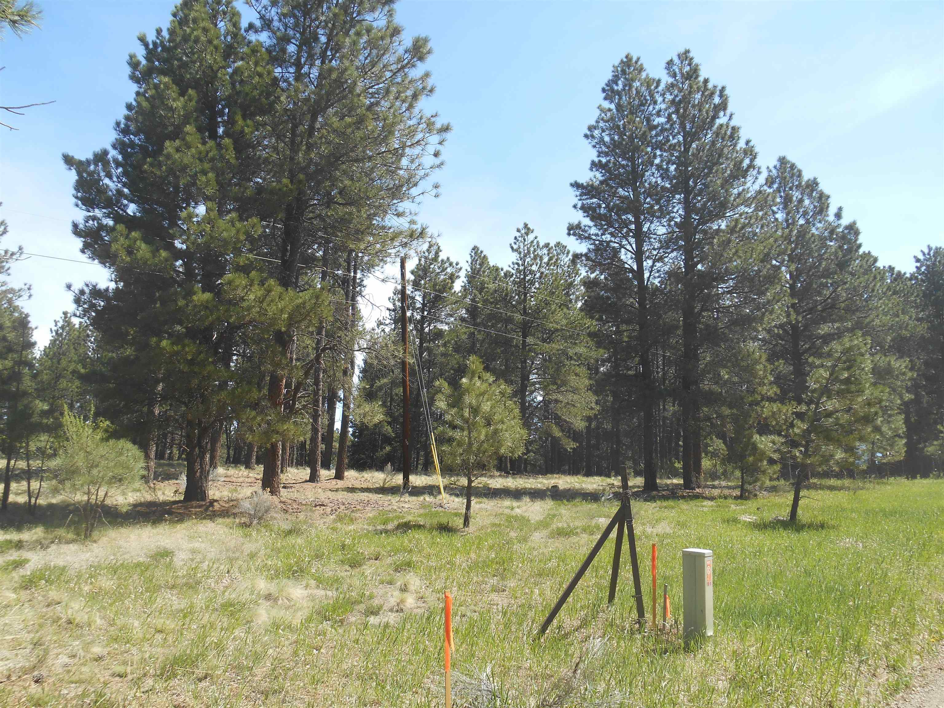 Lot 7, Angel Fire, New Mexico image 8