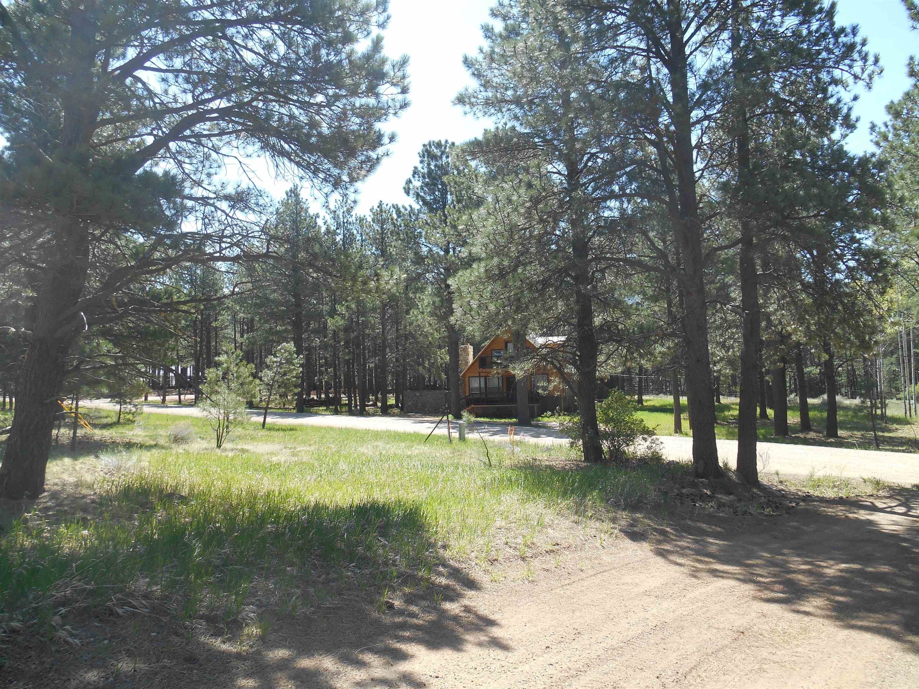 Lot 7, Angel Fire, New Mexico image 5