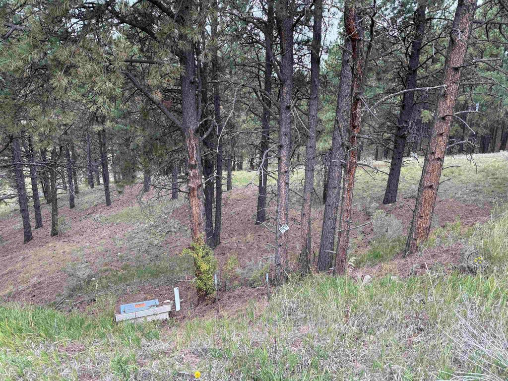 Photo of Lot 8 Valley Rd, Angel Fire, NM 87710 (MLS # 114048)