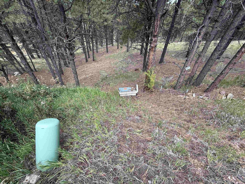 Photo of Lot 8 Valley Rd, Angel Fire, NM 87710 (MLS # 114048)