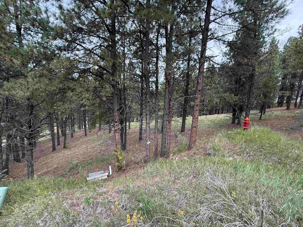 Photo of Lot 8 Valley Rd, Angel Fire, NM 87710 (MLS # 114048)