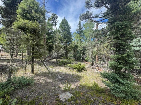 Vacant Land For Sale - LOT 828 San Felipe Cir<br/> Angel Fire, NM 87710