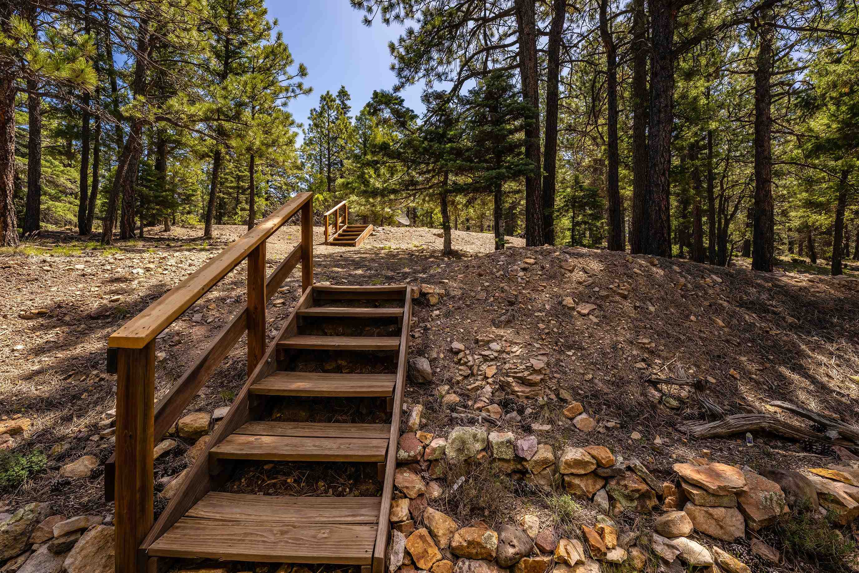 253 Saladon Road, Angel Fire, New Mexico image 10