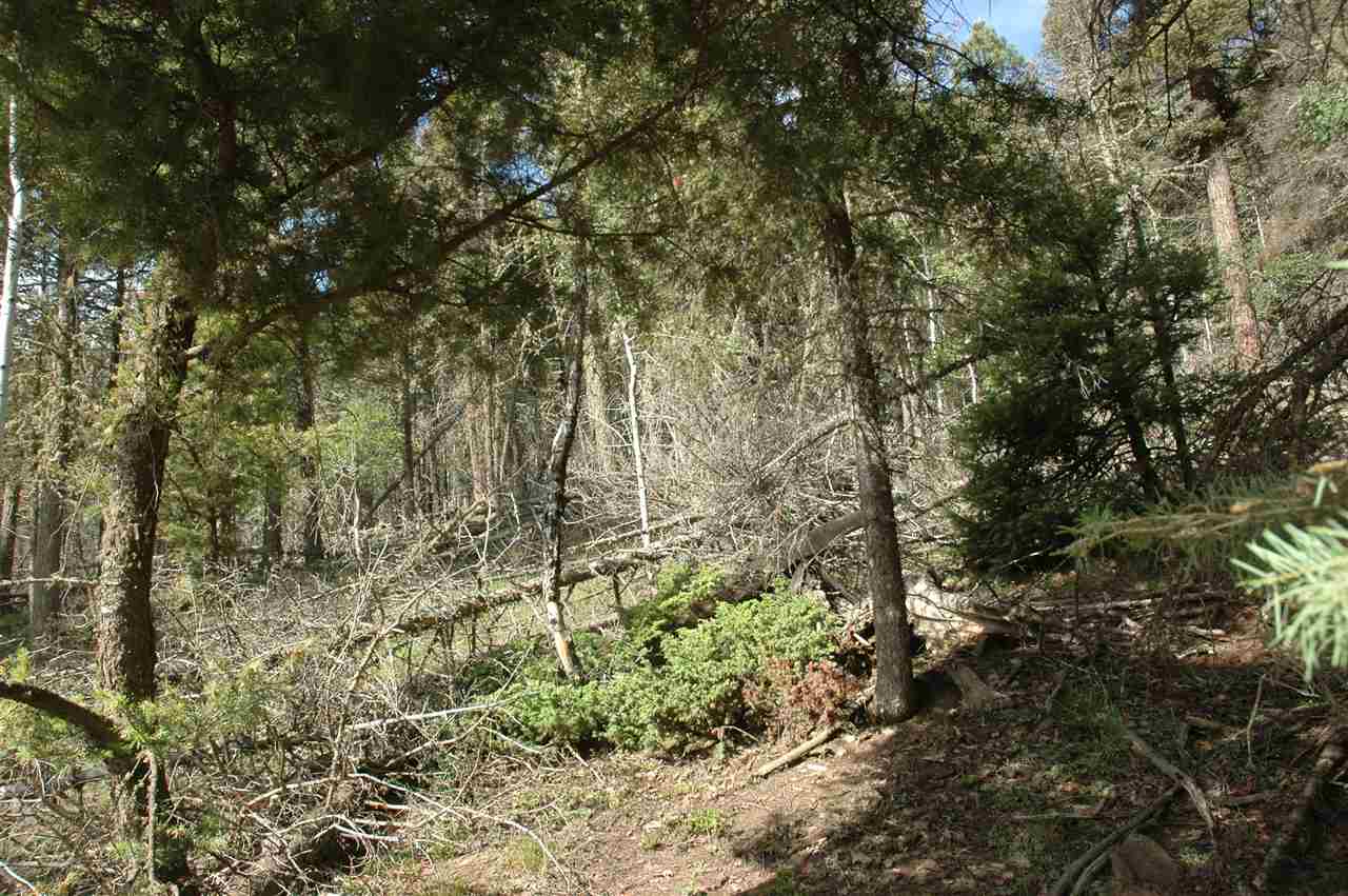 1370 Santo Domingo Tr, angel fire, New Mexico image 1