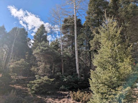 Photo of 1370 Santo Domingo Trail, Angel Fire, NM 87710 (MLS # 105473)
