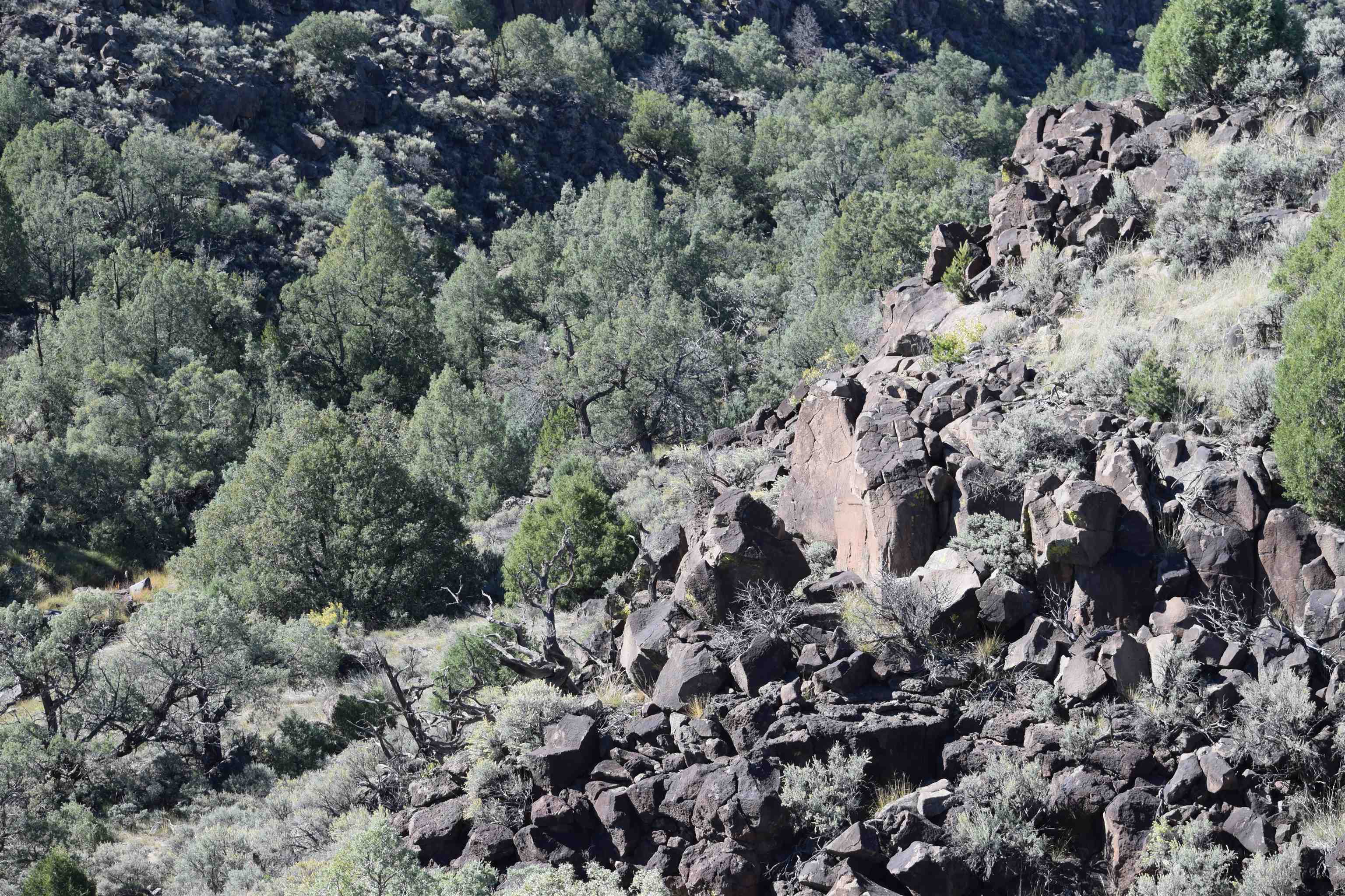 95205 Matisse Road, Carson, New Mexico image 18