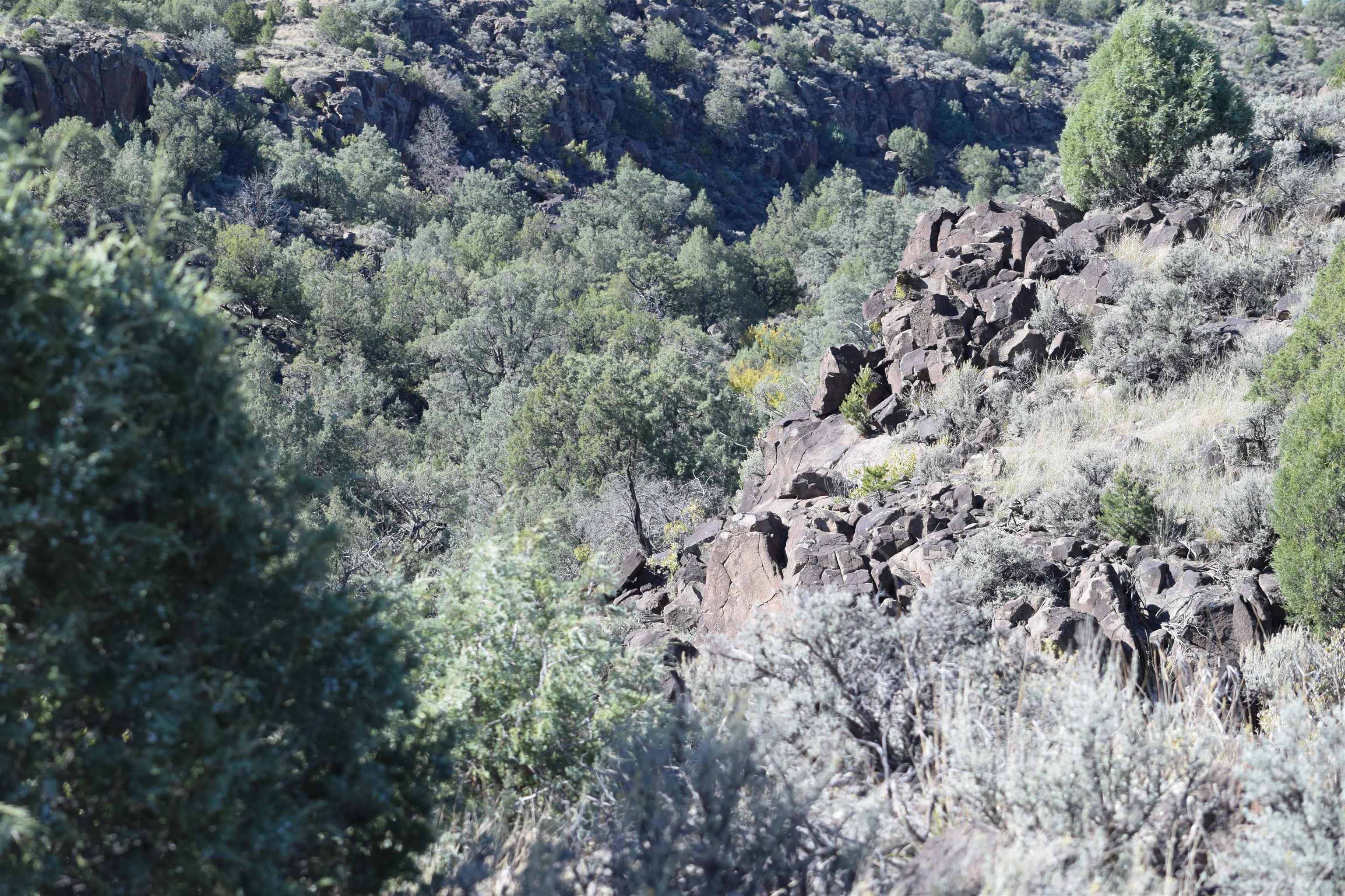 95205 Matisse Road, Carson, New Mexico image 15