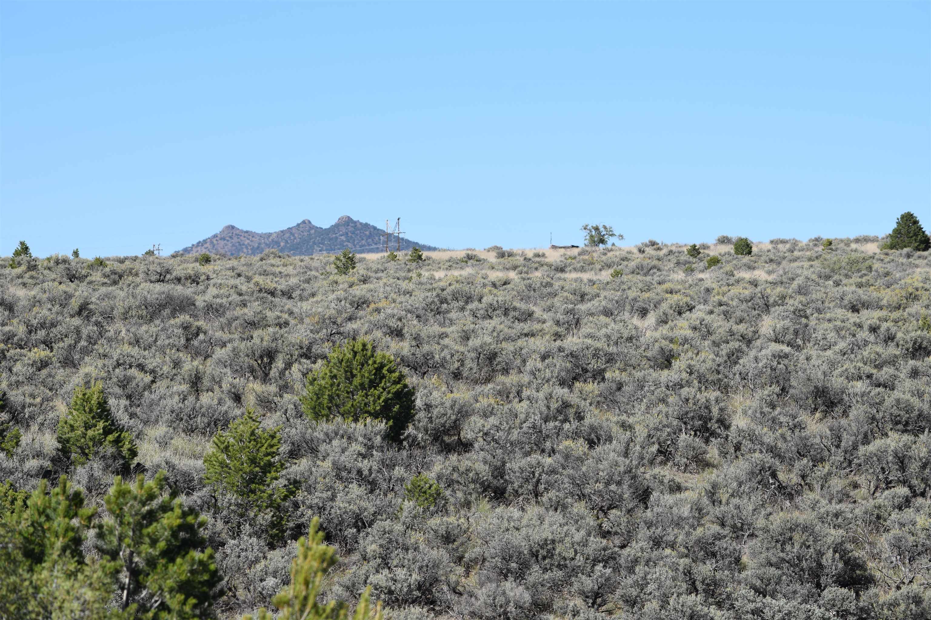 95205 Matisse Road, Carson, New Mexico image 26