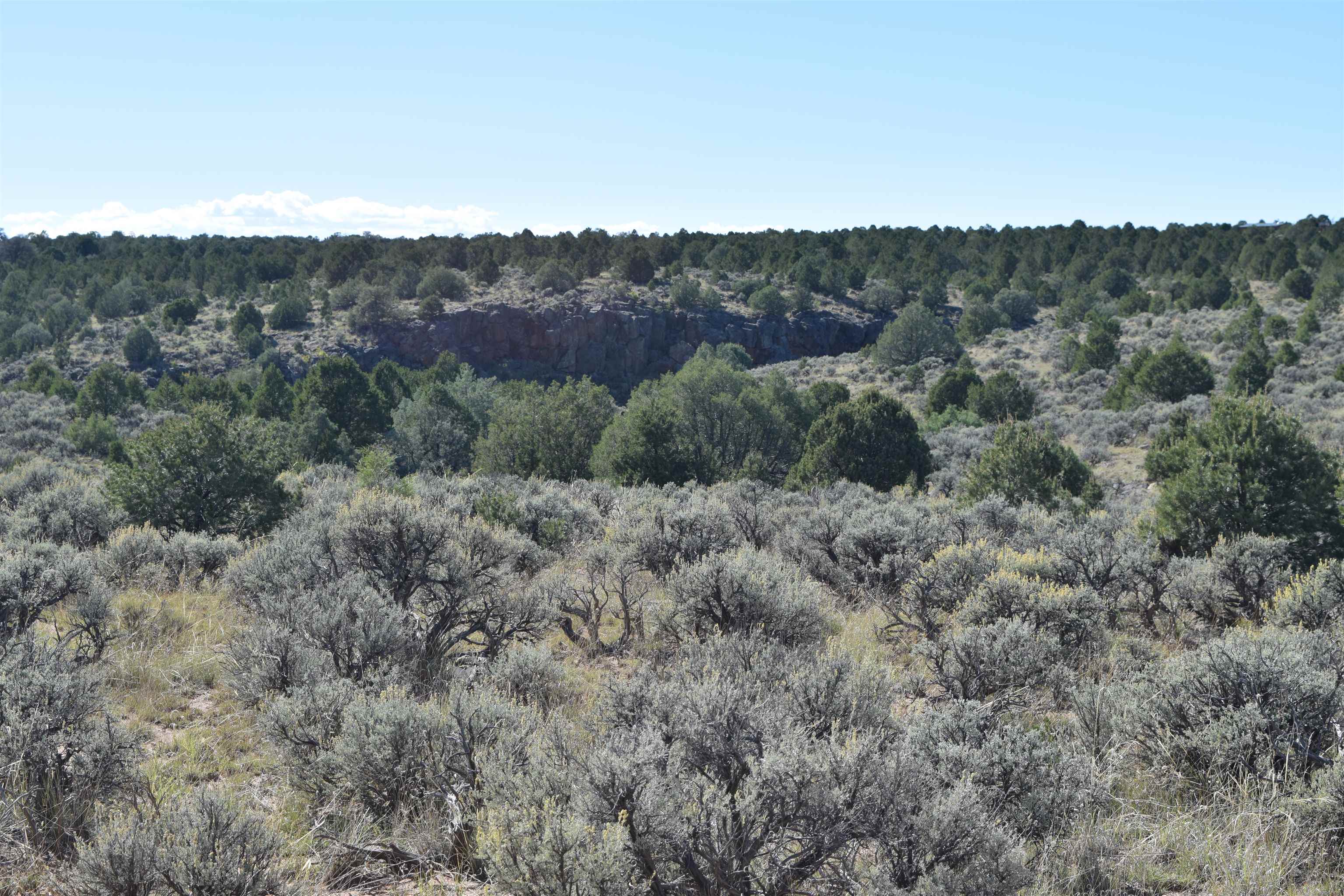 95205 Matisse Road, Carson, New Mexico image 23