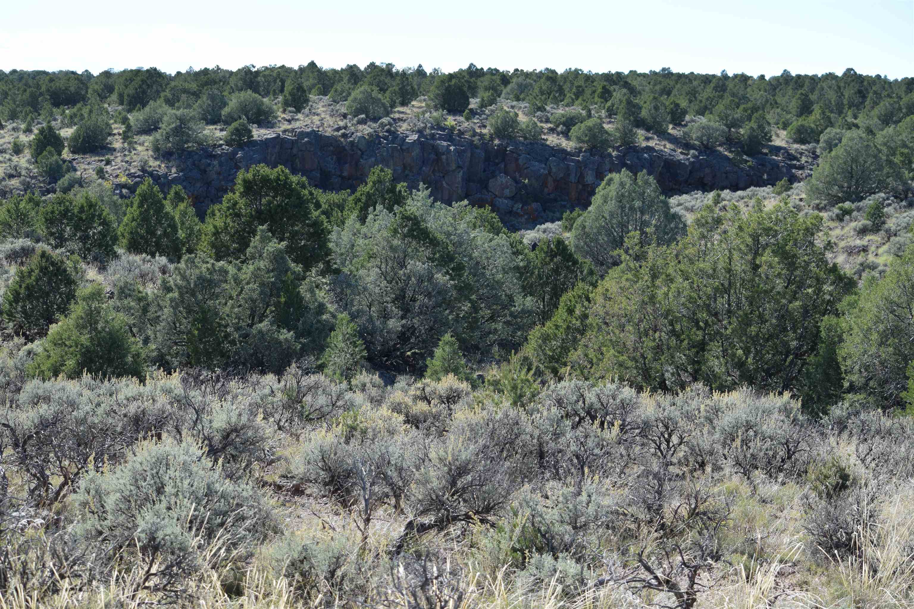 95205 Matisse Road, Carson, New Mexico image 22