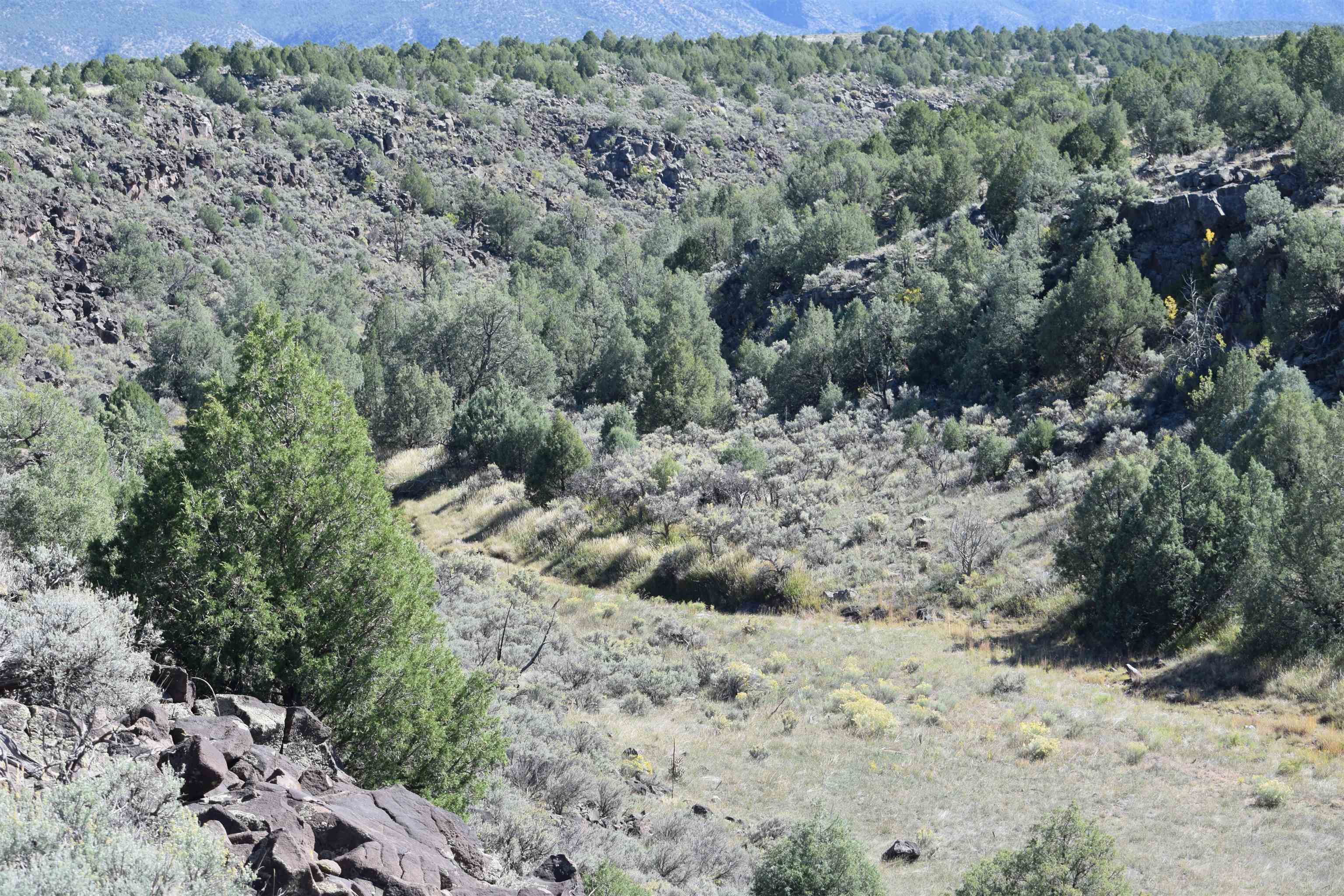 95205 Matisse Road, Carson, New Mexico image 14