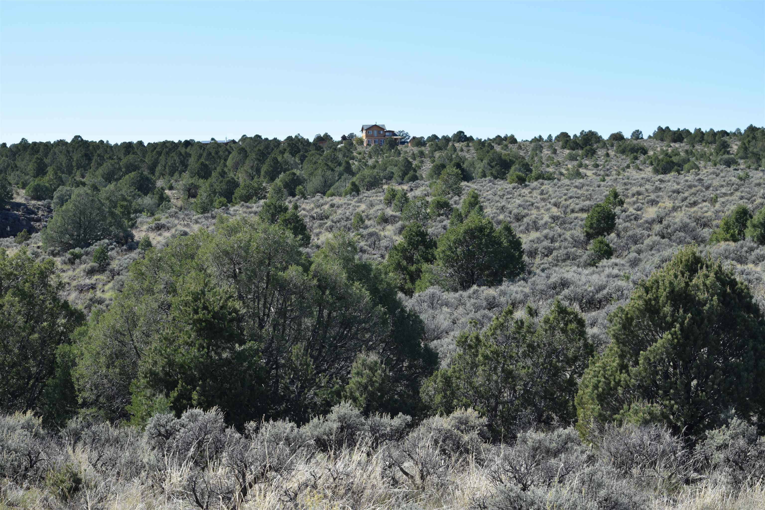95205 Matisse Road, Carson, New Mexico image 24