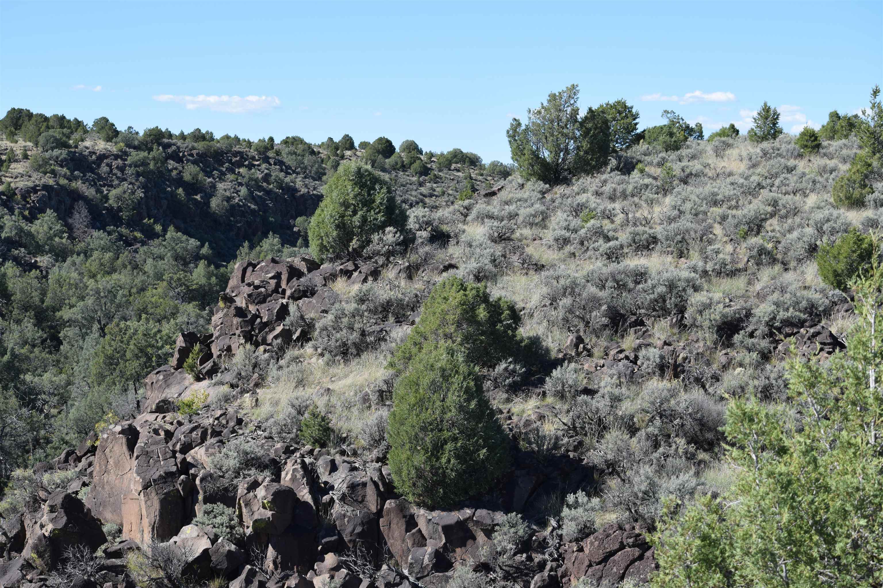 95205 Matisse Road, Carson, New Mexico image 25