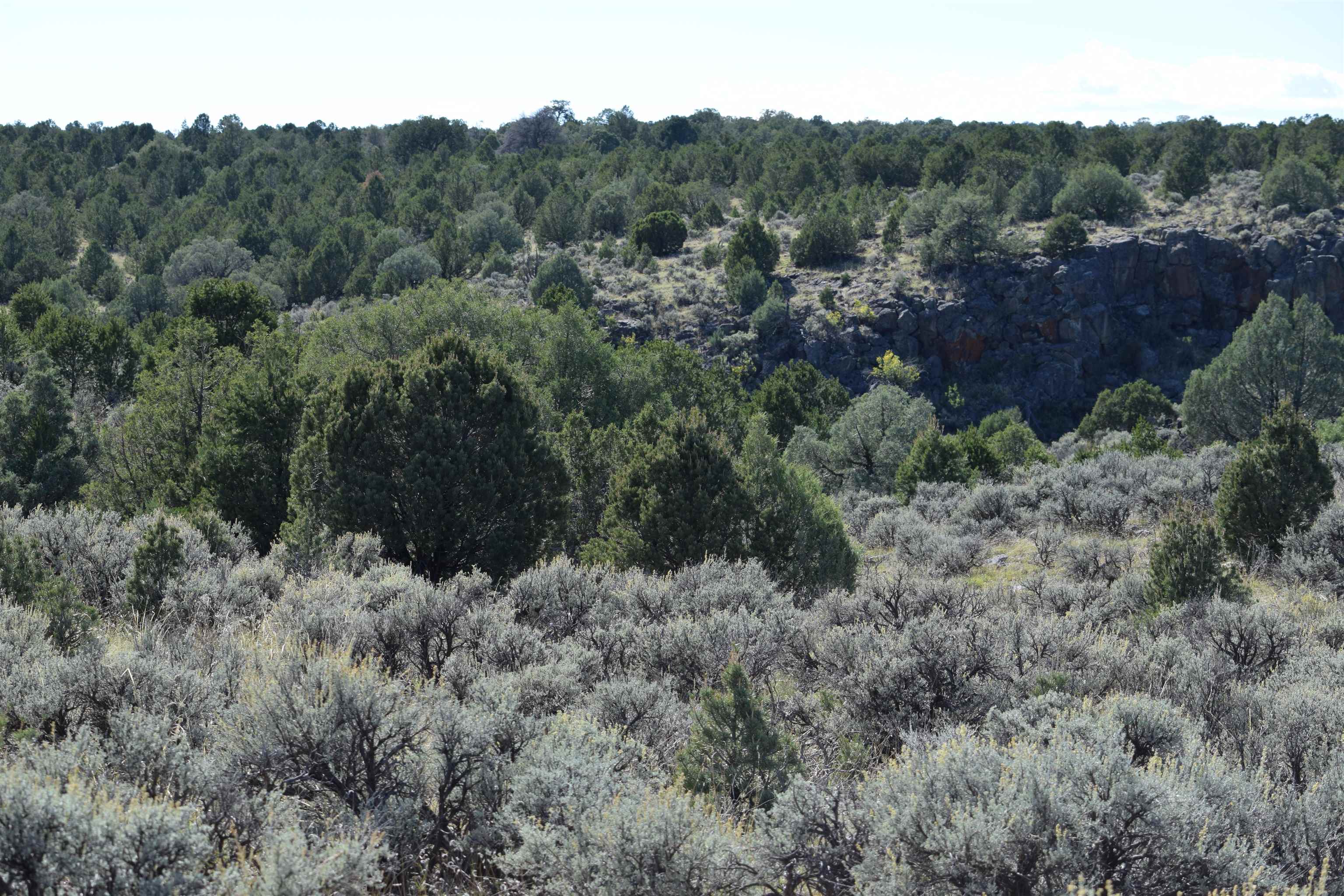 95205 Matisse Road, Carson, New Mexico image 17