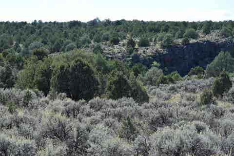 Vacant Land For Sale - Matisse Road<br/> Carson, NM 87517