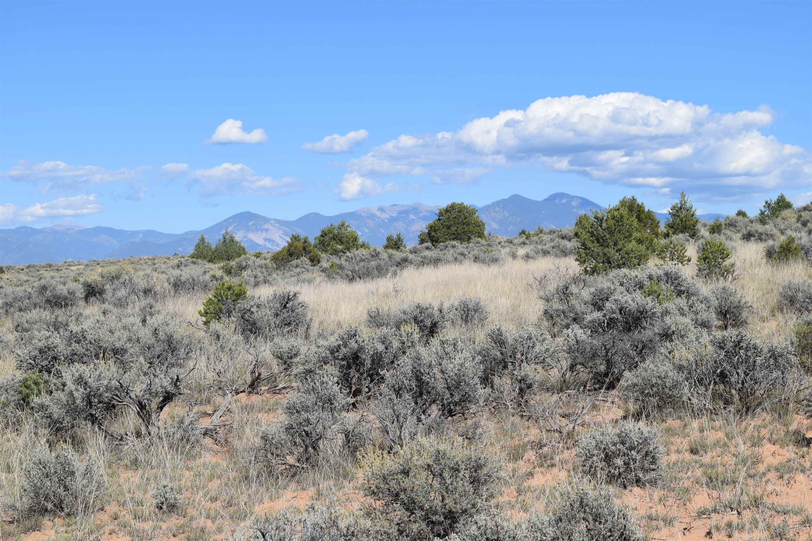 95205 Matisse Road, Carson, New Mexico image 27