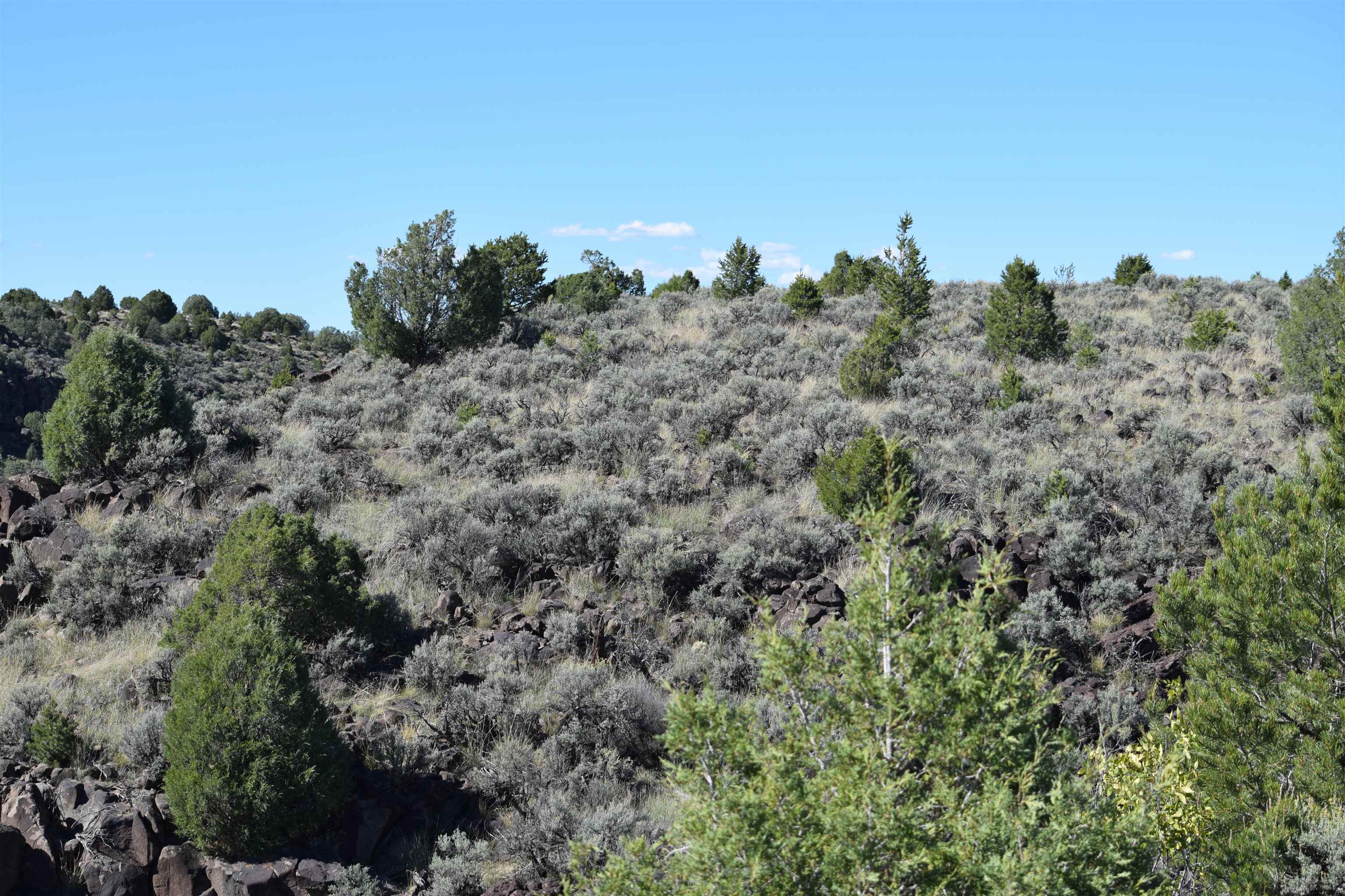 95205 Matisse Road, Carson, New Mexico image 10