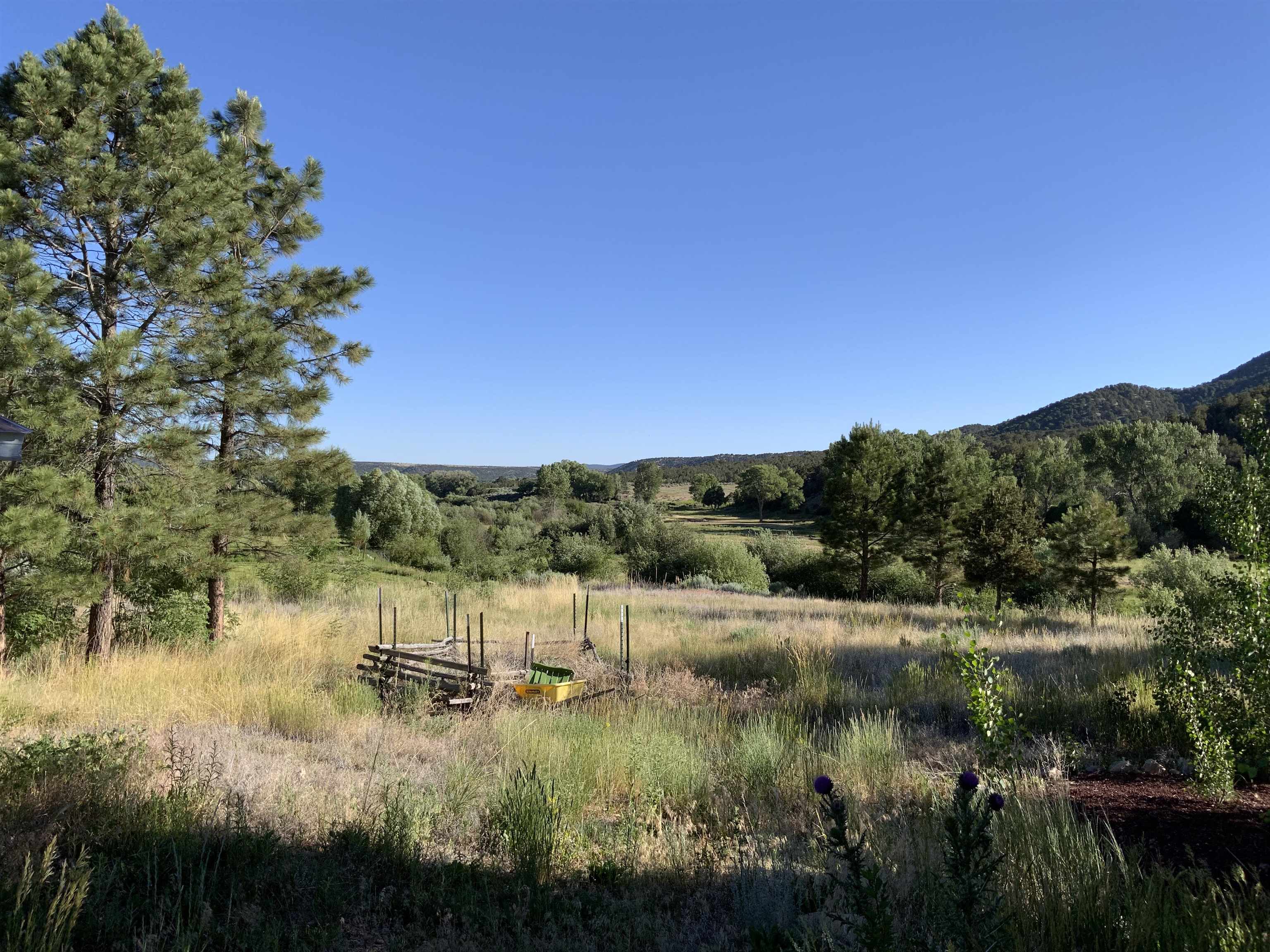 791 State Road 196, Amalia, New Mexico image 8