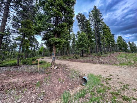 Photo of 19 Summit Place, Angel Fire, NM 87710 (MLS # 113548)