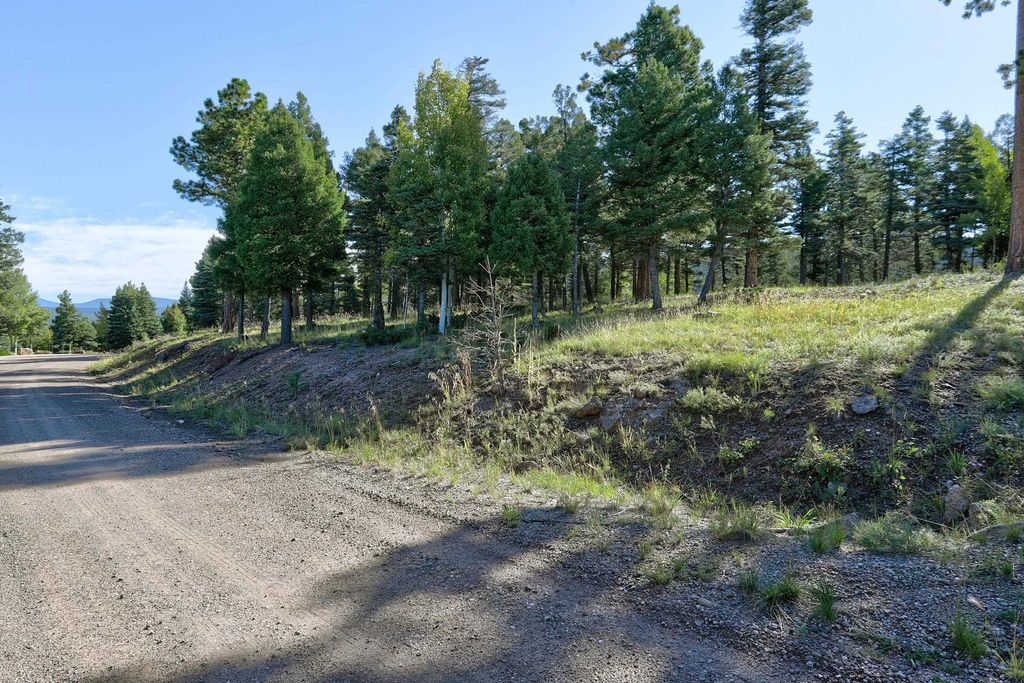 Photo of Lot 324 Vail Overlook S, Angel Fire, NM 87710 (MLS # 114076)