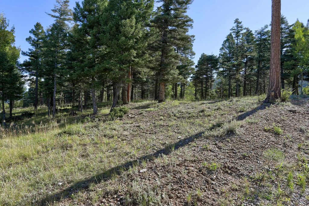 Photo of Lot 324 Vail Overlook S, Angel Fire, NM 87710 (MLS # 114076)