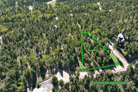 Vacant Land For Sale - LOT 324 Vail Overlook<br/> Angel Fire, NM 87710