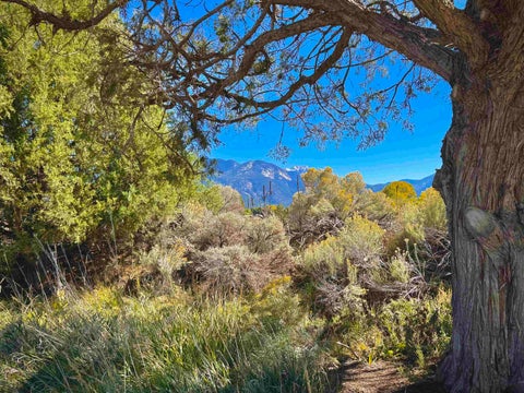 Vacant Land For Sale - 402 A Hondo Seco Rd<br/> Taos County, El Prado, NM 87514