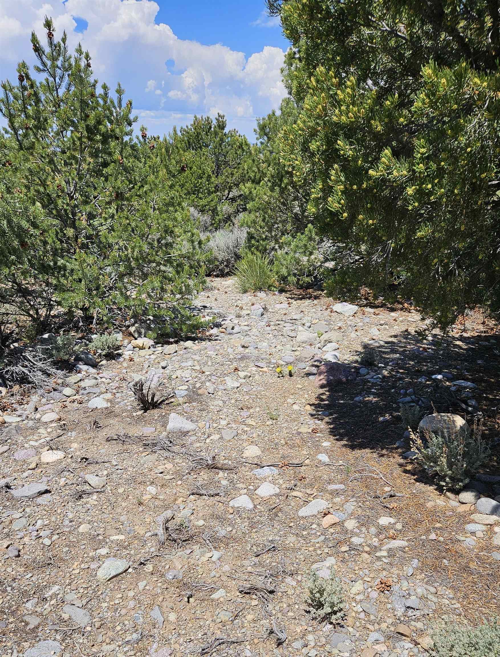 Questa, New Mexico 87556, United States, 2 Bedrooms Bedrooms, ,Residential,Active,171743