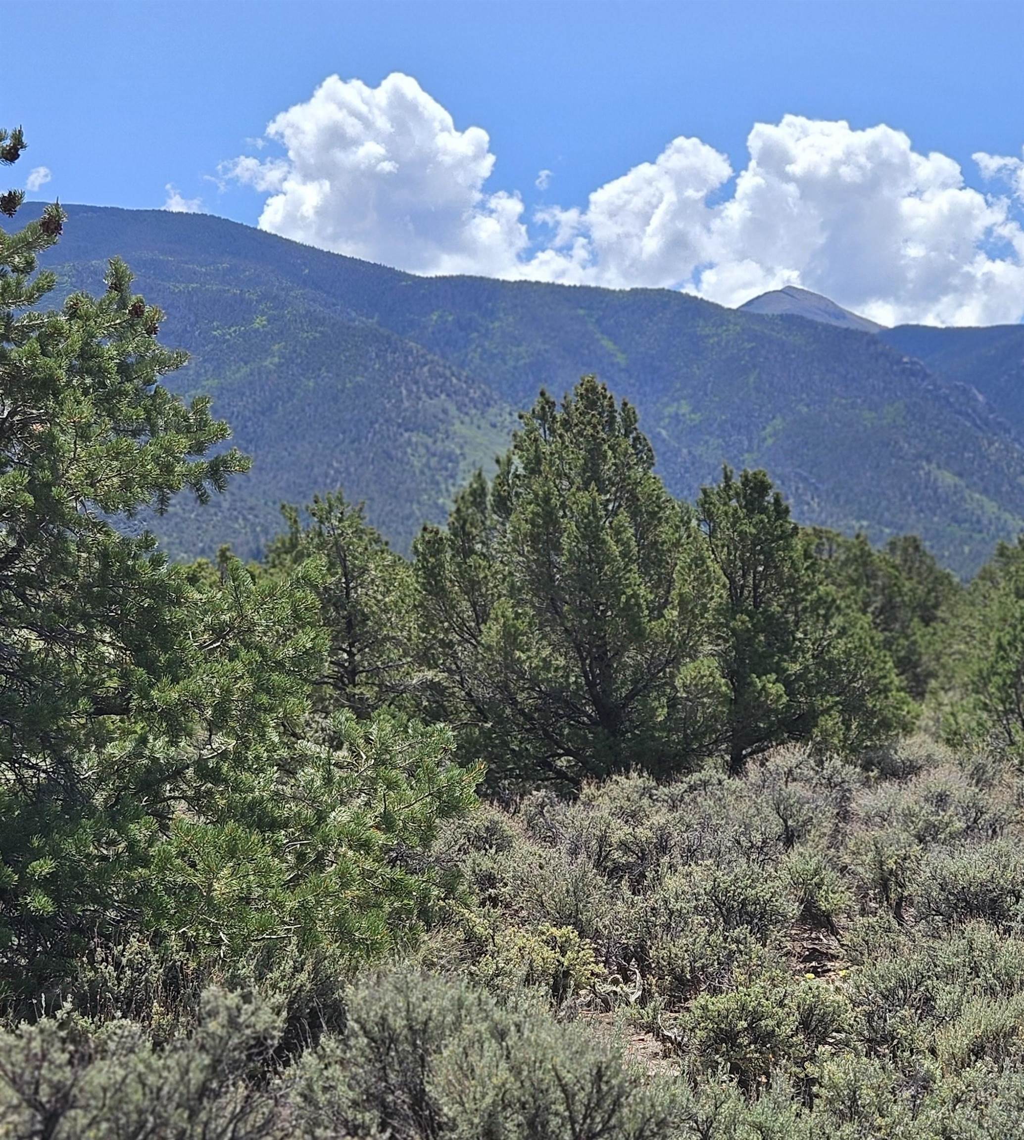 Questa, New Mexico 87556, United States, 2 Bedrooms Bedrooms, ,Residential,Active,171743