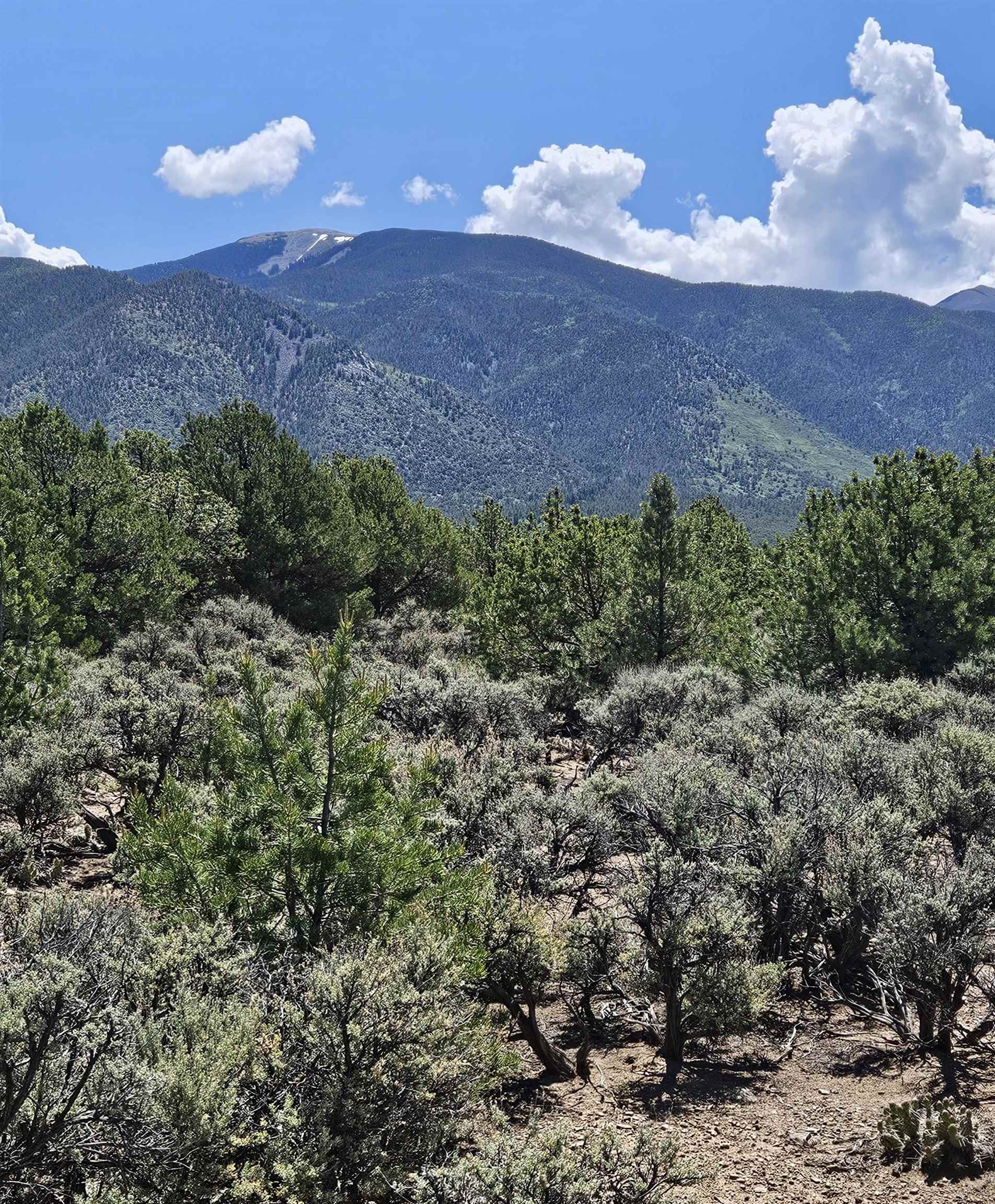 Questa, New Mexico 87556, United States, 2 Bedrooms Bedrooms, ,Residential,Active,171743